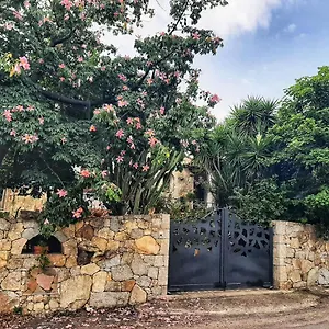 Bed & Breakfast Chorisia